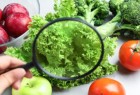 Actualización en Inocuidad Alimentaria Actualización en Inocuidad Alimentaria