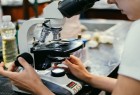 Concurso de Becas de Investigación