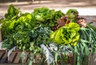 2do Congreso Provincial de Agroecología