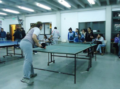 ping-pong